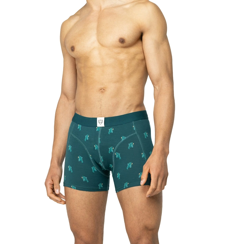 A-dam Underwear Heren Boxer Groen dessin