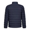 Cavallaro Heren Jas 112245010 Navy