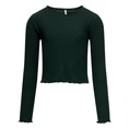 Only Dames Blouse 15326388 Groen